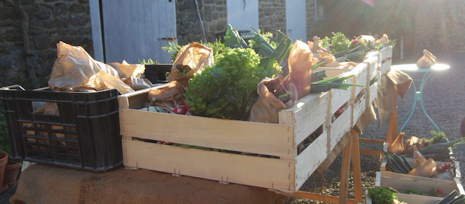 Paniers de légumes bio : Rencontre avec les producteurs le samedi 10 mars à 10h30 au bar Le Ticia Paniers de légumes bio : Rencontre avec les producteurs le samedi 10 mars à 10h30 au bar Le Ticia
